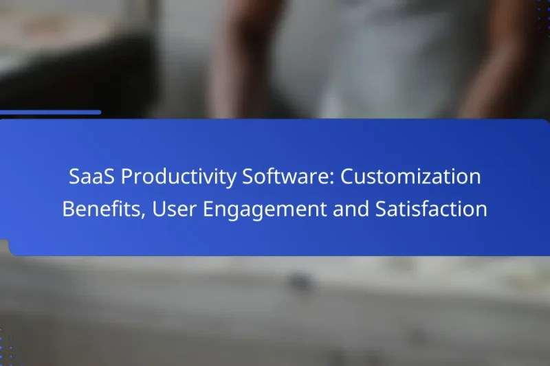 SaaS Productivity Software: Customization Benefits, User Engagement and Satisfaction
