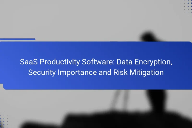 SaaS Productivity Software: Data Encryption, Security Importance and Risk Mitigation