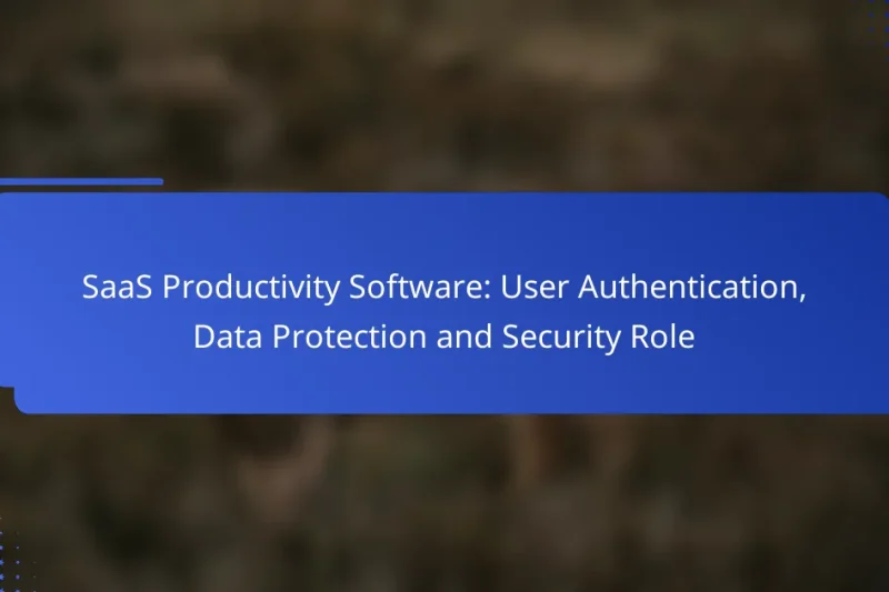 SaaS Productivity Software: User Authentication, Data Protection and Security Role