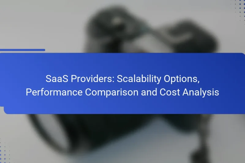 SaaS Providers: Scalability Options, Performance Comparison and Cost Analysis