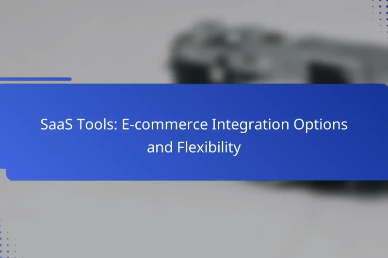 SaaS Tools: E-commerce Integration Options and Flexibility