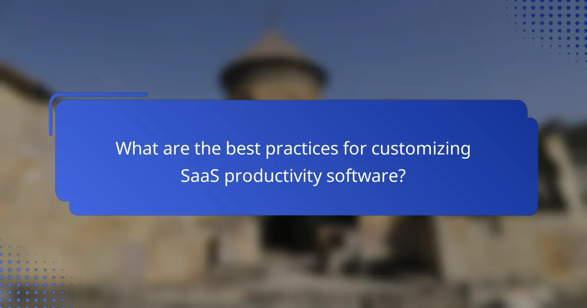 What are the best practices for customizing SaaS productivity software?