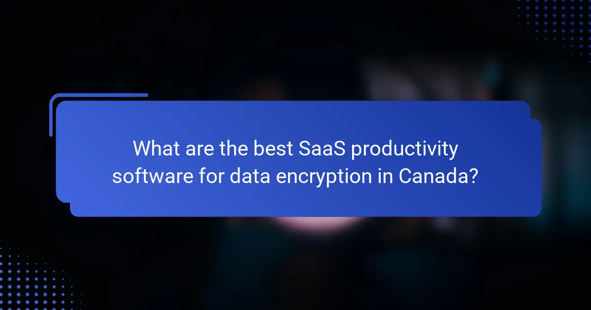 What are the best SaaS productivity software for data encryption in Canada?