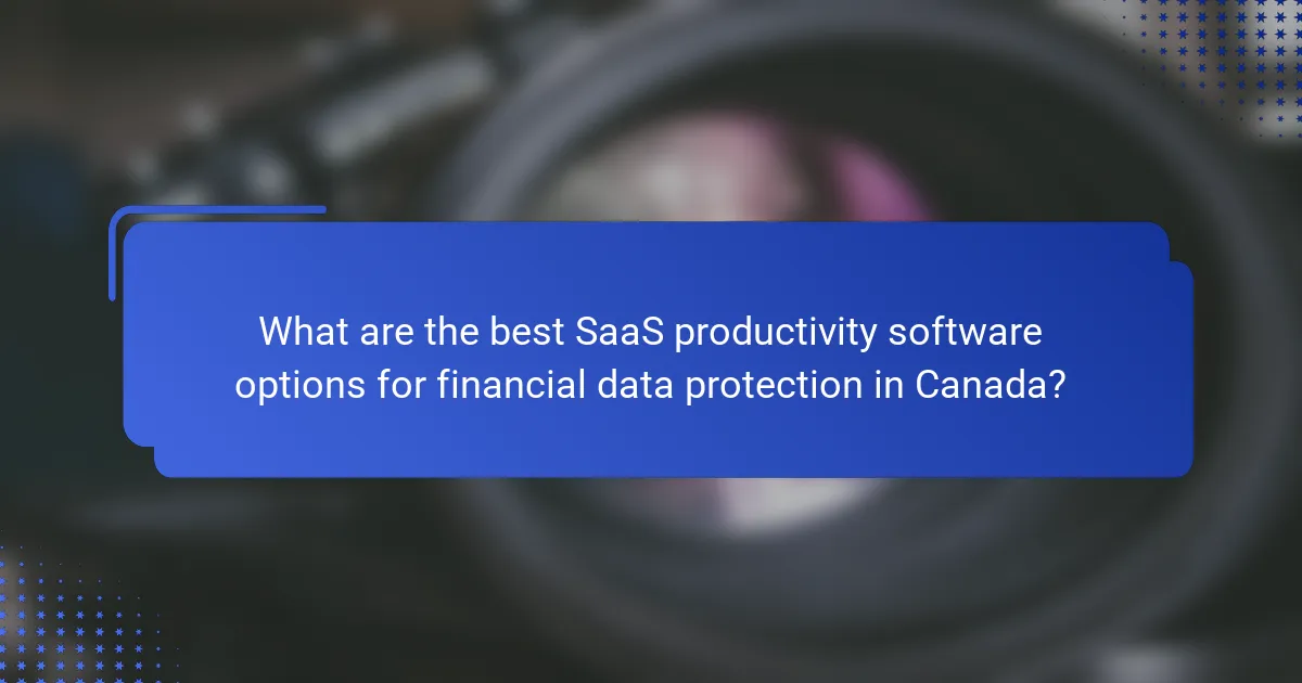 What are the best SaaS productivity software options for financial data protection in Canada?