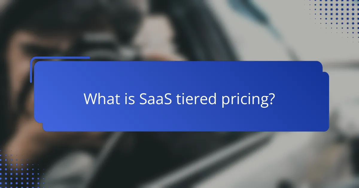 What is SaaS tiered pricing?